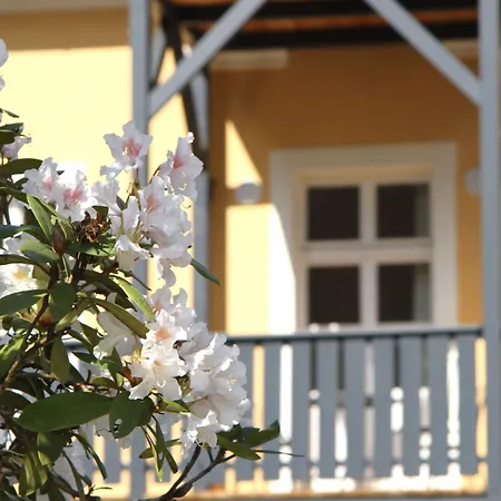 Elise * Bad Schandau